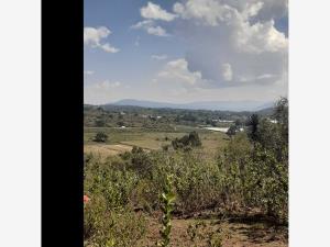 Terreno en venta en Lagunillas, Lagunillas — foto 3 de 8