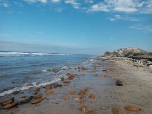 Terreno en venta en El Socorrito, San Quintín, Baja California