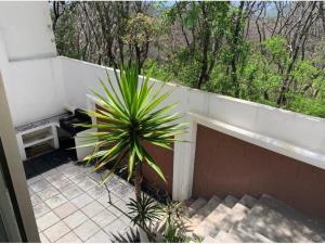 Casa en venta en Bosque Monarca, Morelia — foto 2 de 11