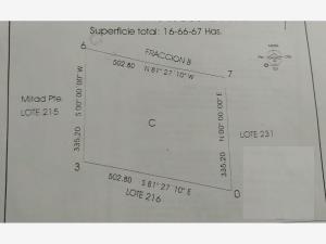 Terreno en venta en Benavides (morelos Uno), Matamoros — foto 3 de 5