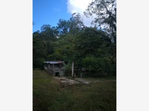 Finca-Rancho en venta en Huatusco de Chicuellar Centro, Huatusco — foto 2 de 2