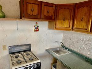 Casa en venta en Joyas del Oriente, Torreón — foto 3 de 17