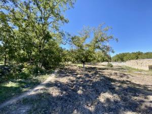 Terreno en venta en Parras de la Fuente Centro, Parras — foto 2 de 3
