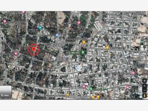 Terreno en venta en Parras de la Fuente Centro, Parras — foto 3 de 3