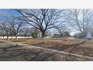 Terreno en venta en San Armando, Torreón — foto 3 de 7