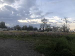 Terreno en venta en La Magdalena, San Mateo Atenco — foto 3 de 3