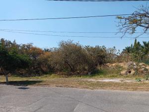 Terreno en venta en Tamoanchan, Jiutepec — foto 3 de 9