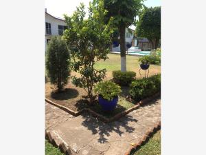 Casa en venta en Delicias, Cuernavaca — foto 3 de 13