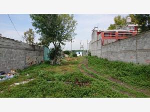 Terreno en venta en Santa María Nativitas, Colón — foto 2 de 8