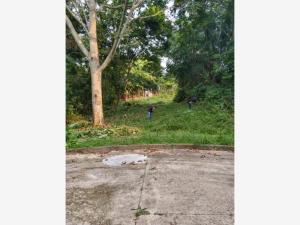 Terreno en venta en Campestre Parrilla, Centro — foto 2 de 10
