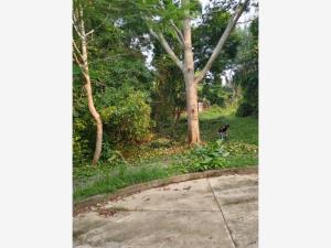 Terreno en venta en Campestre Parrilla, Centro — foto 3 de 10