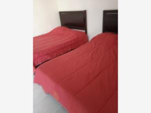Casa en renta en Brisas, Temixco — foto 2 de 7