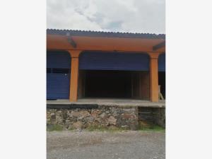 Bodega en renta en Tequisquiapan Centro, Tequisquiapan — foto 3 de 4