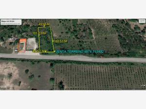 Terreno en venta en Buena Vista, Tihuatlán — foto 2 de 4