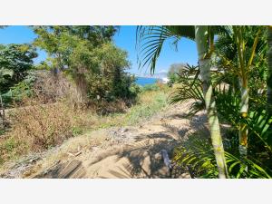 Terreno en venta en Playa Guitarrón, Acapulco de Juárez — foto 2 de 9