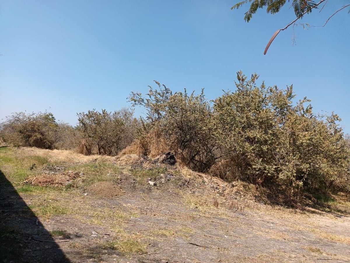 Terreno en venta en Tamoanchan, Jiutepec — foto 1 de 10