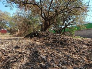 Terreno en venta en Tamoanchan, Jiutepec — foto 2 de 10