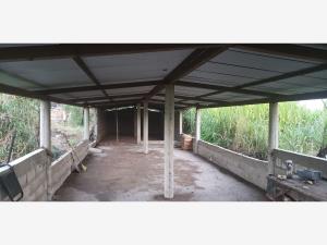 Finca-Rancho en venta en Emiliano Zapata Uno, Chiapa de Corzo — foto 3 de 26