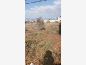 Terreno en venta en La Constitucion Totoltepec, Toluca — foto 2 de 4