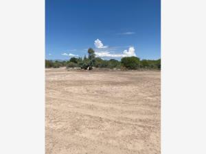 Terreno en venta en Ciudad Juárez, Lerdo, Durango Terreno en venta en Ciudad Juárez, Lerdo, Durango