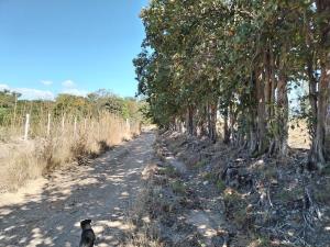 Terreno en venta en Emiliano Zapata Uno, Chiapa de Corzo — foto 2 de 3