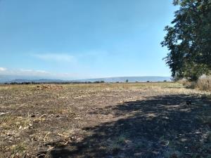 Terreno en venta en Emiliano Zapata Uno, Chiapa de Corzo — foto 3 de 3