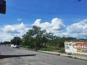 Terreno en venta en Delfino Victoria (santa Fe), Veracruz — foto 3 de 7