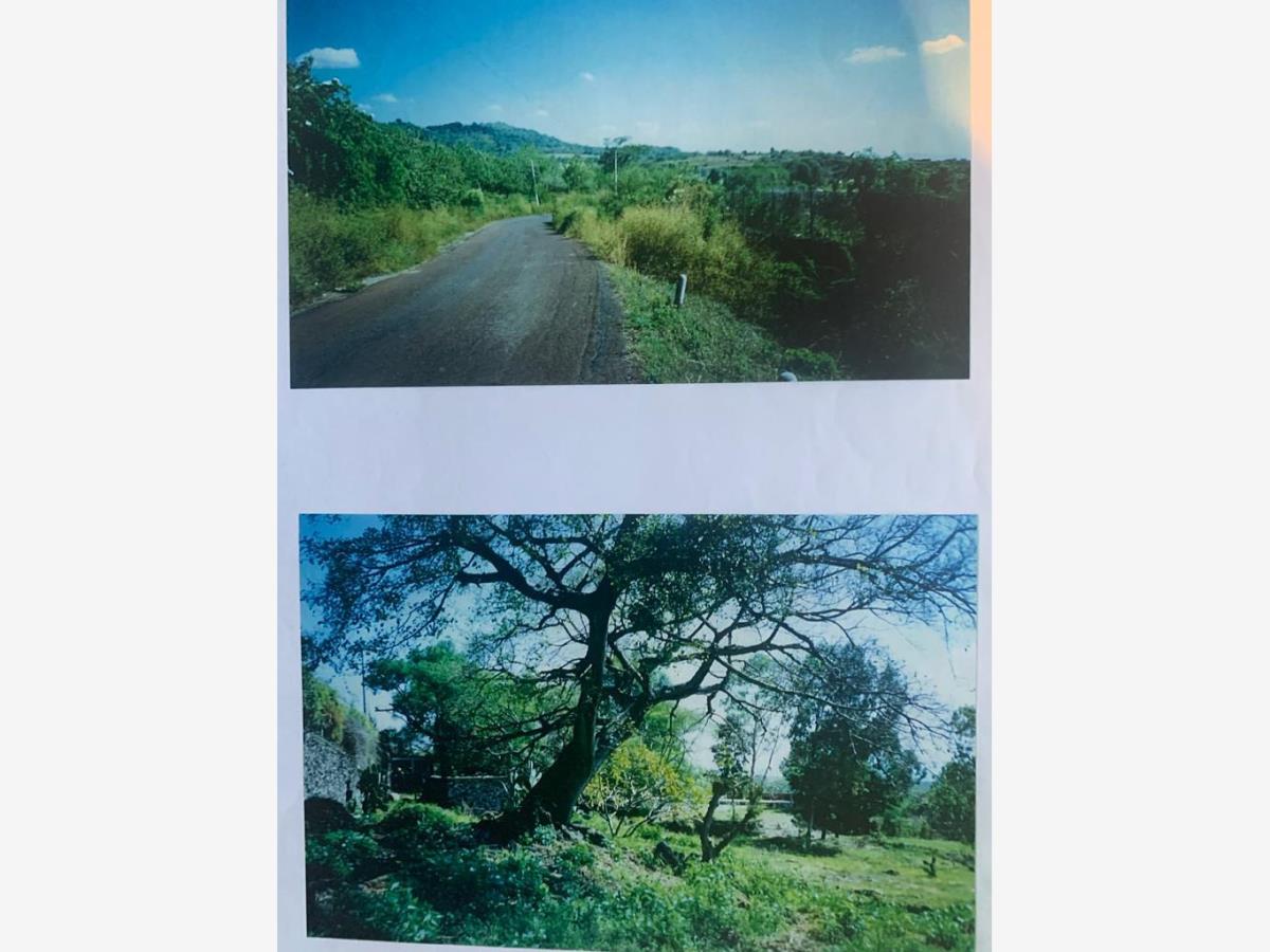 Terreno en venta en Santiago Tepetlapa, Tepoztlán — foto 1 de 5