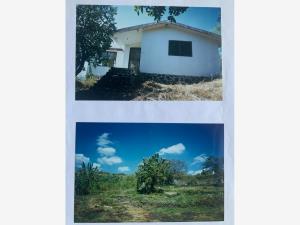 Terreno en venta en Santiago Tepetlapa, Tepoztlán — foto 3 de 5