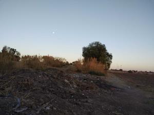 Terreno en venta en La Calera, Irapuato — foto 3 de 12