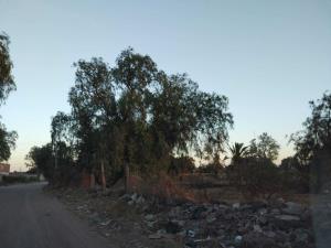 Terreno en venta en La Calera, Irapuato — foto 3 de 7