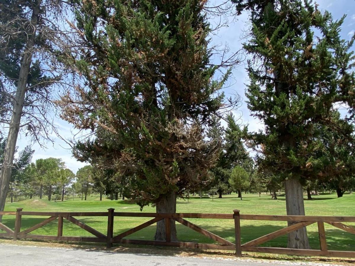 Vista 3 de Terreno en Venta en Rincon del Montero, Parras, Coahuila de Zaragoza