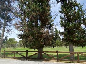 Terreno en venta en Rincon del Montero, Parras — foto 3 de 5