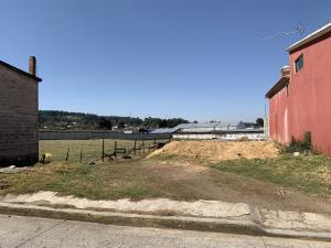 Terreno en venta en Barrio de San Miguel, Las Vigas de Ramírez — foto 3 de 12
