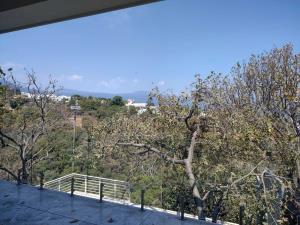Terreno en venta en Lomas de Atzingo, Cuernavaca — foto 2 de 26