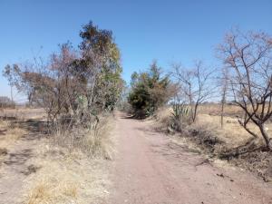 Terreno en venta en Santa Ana Matlavat Centro, Aculco — foto 2 de 15