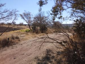 Terreno en venta en Santa Ana Matlavat Centro, Aculco — foto 3 de 15