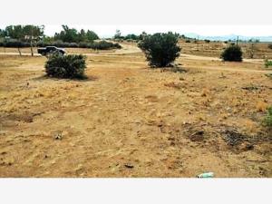 Terreno en venta en Real del Castillo Nuevo (Ojos Negros), Ensenada — foto 3 de 5