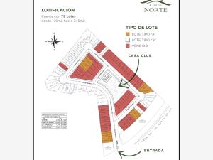 Terreno en venta en Los Viñedos, Torreón — foto 3 de 3