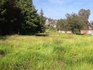 Terreno en venta en San Mateo Xalpa, Xochimilco — foto 2 de 3