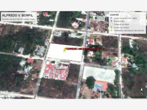 Terreno en venta en Alfredo V. Bonfil, Benito Juárez, Quintana Roo