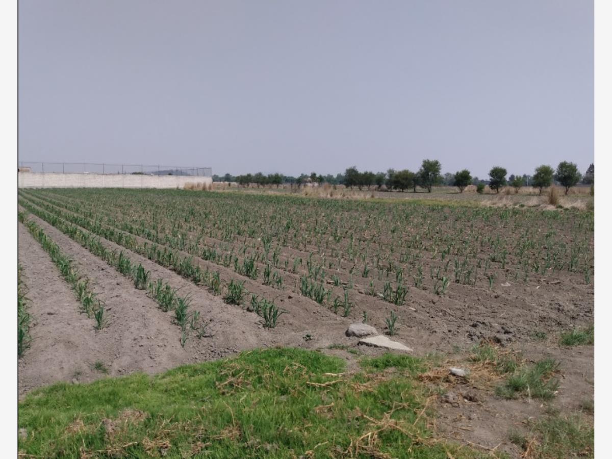 Terreno en venta en San Miguel Totocuitlapilco, Metepec — foto 1 de 2