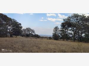 Terreno en venta en Hacienda Blanca, Amealco de Bonfil — foto 2 de 26