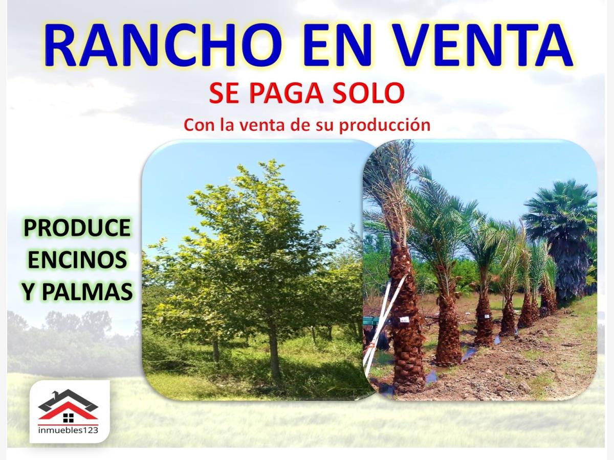 Finca-Rancho en venta en Cadereyta Jimenez Centro, Cadereyta Jiménez — foto 1 de 23