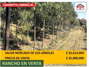 Finca-Rancho en venta en Cadereyta Jimenez Centro, Cadereyta Jiménez — foto 2 de 23