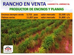 Finca-Rancho en venta en Cadereyta Jimenez Centro, Cadereyta Jiménez — foto 3 de 23