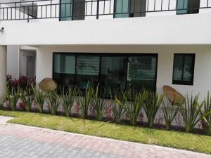 Departamento en venta en Atlacholoaya, Xochitepec — foto 3 de 15