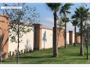Terreno en venta en La Gran Vinícola, Gómez Palacio — foto 3 de 9