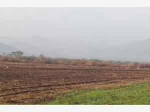 Terreno en venta en El Trapiche, Cuauhtémoc, Colima