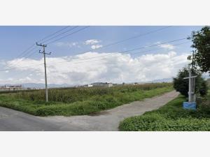 Terreno en venta en San Miguel Totocuitlapilco, Metepec — foto 3 de 3